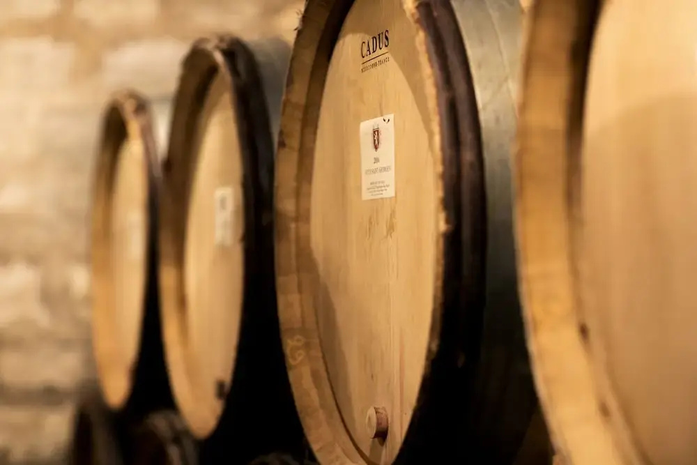 Voir la photo 3 — Domaine GILLE