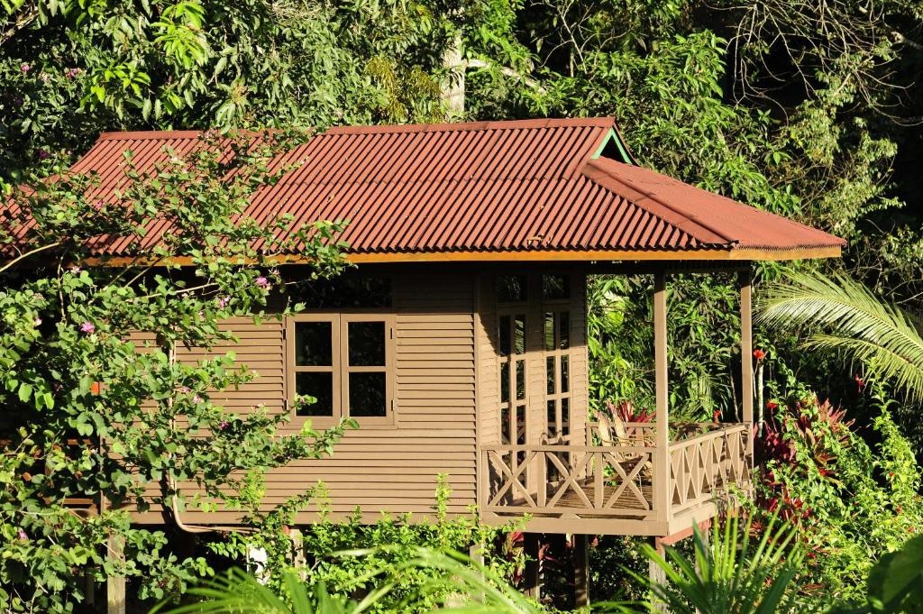 Sepilok Forest Edge Resort - фото 27