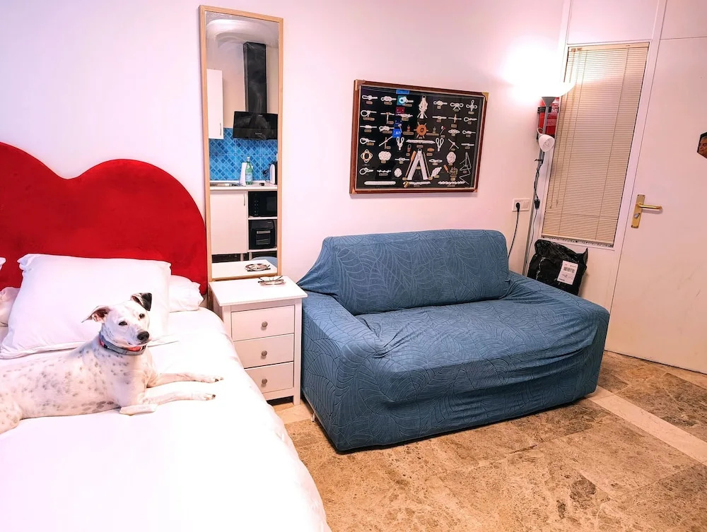Hostal estudios — 3