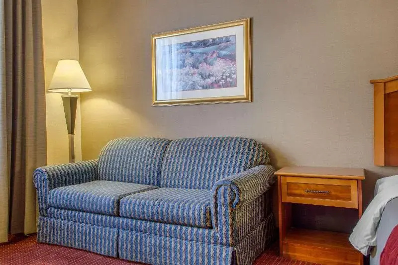 Comfort Inn & Suites I-25 Near Spaceport America - Chambres