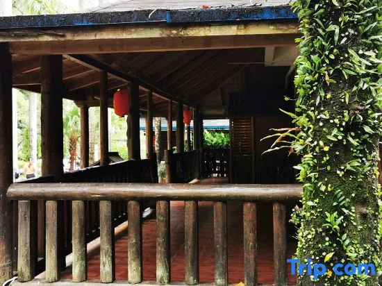 Balcony & Terrace