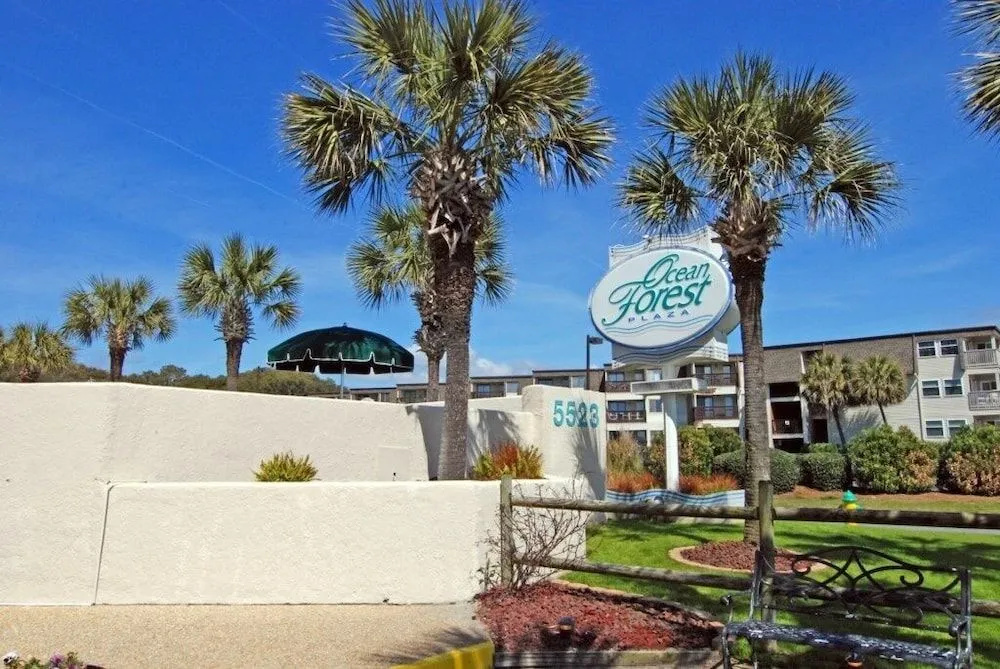 Ocean Forest 1608 - Ocean Front by RedAwning