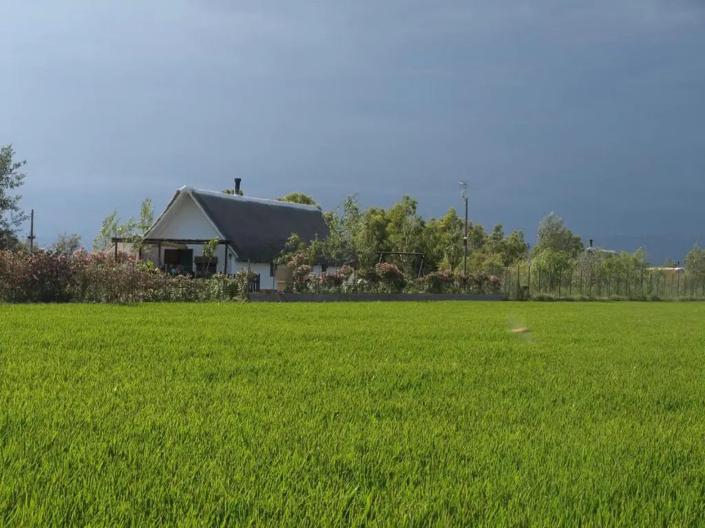 Cottage