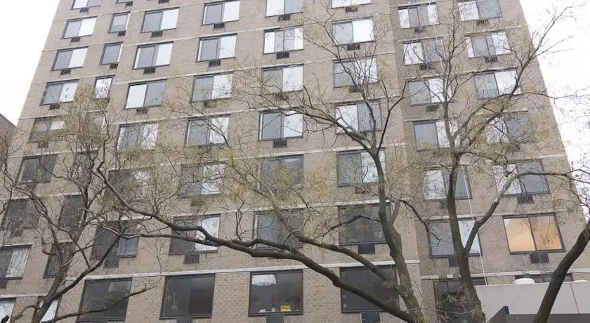 The G Suites