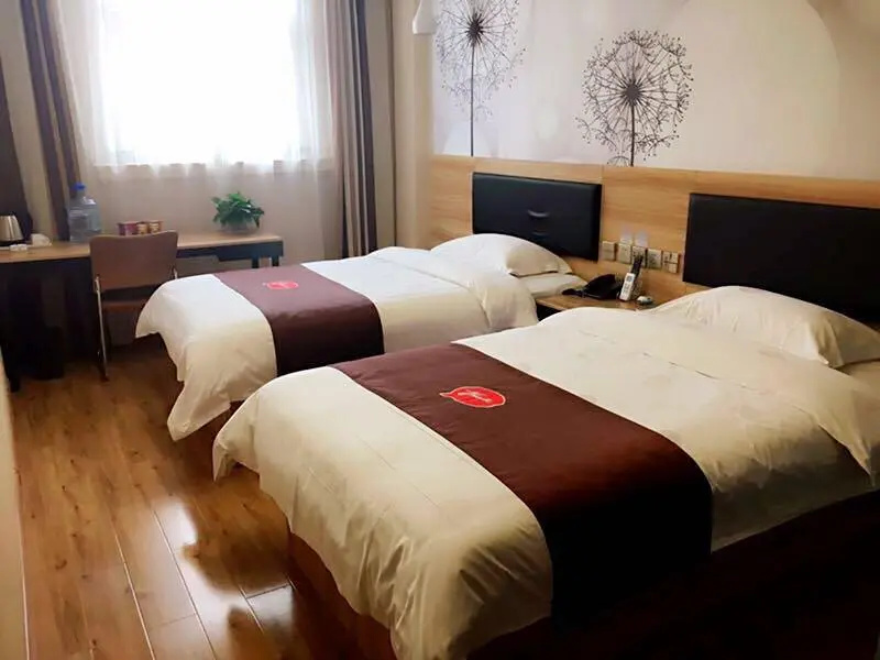 Standard Double room (twin beds)
