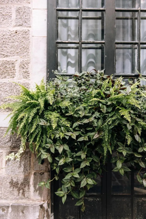 Maison Sainte-Thérèse