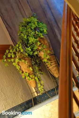 Balcony & Terrace