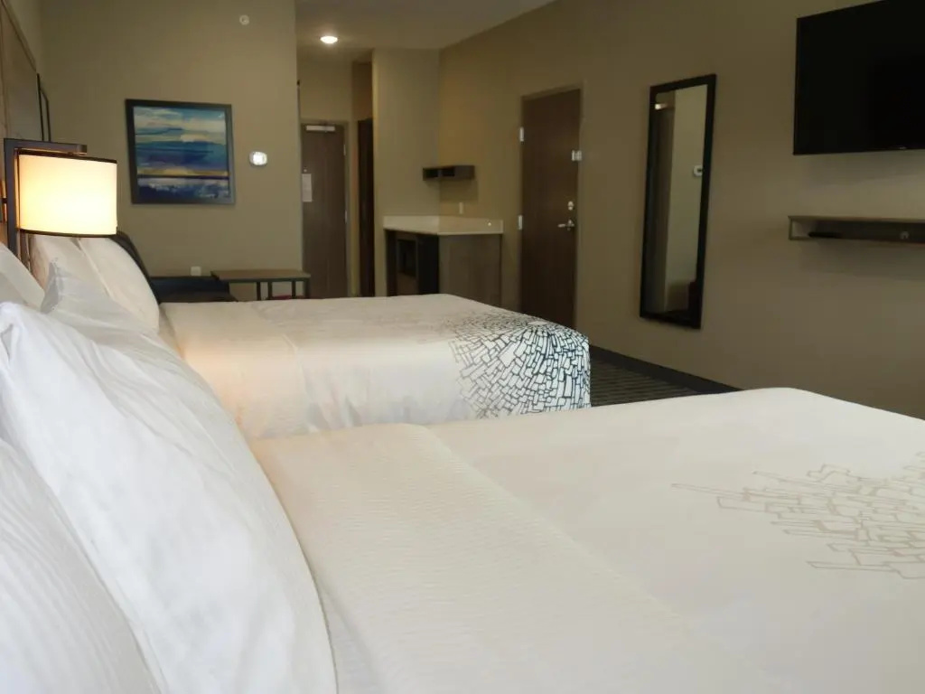 La Quinta by Wyndham San Antonio Alamo City