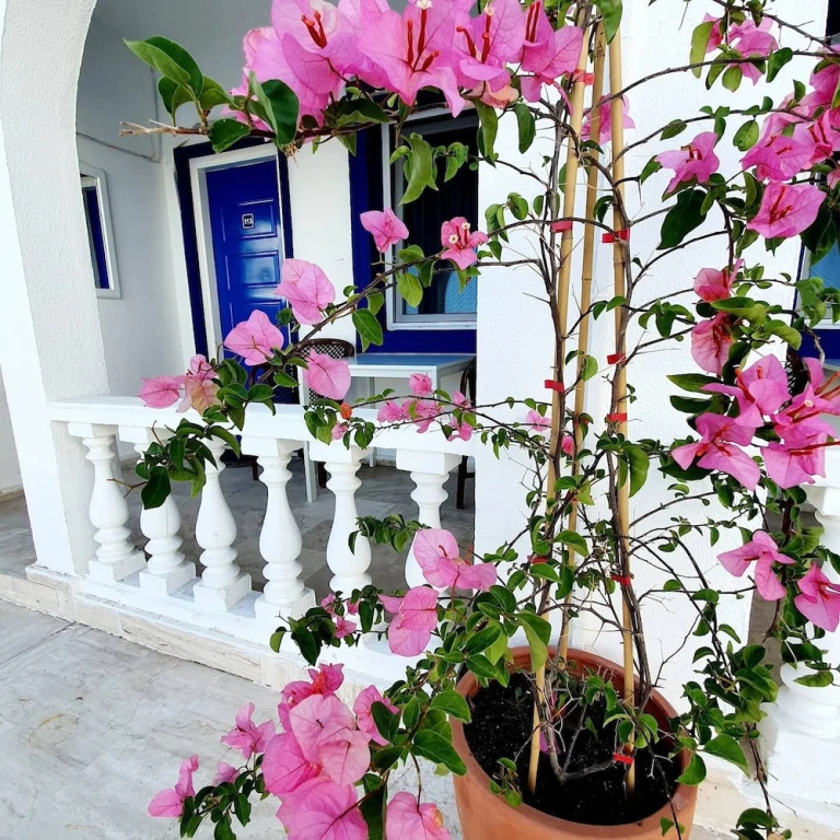 Standard Double room with balcony (full double bed)