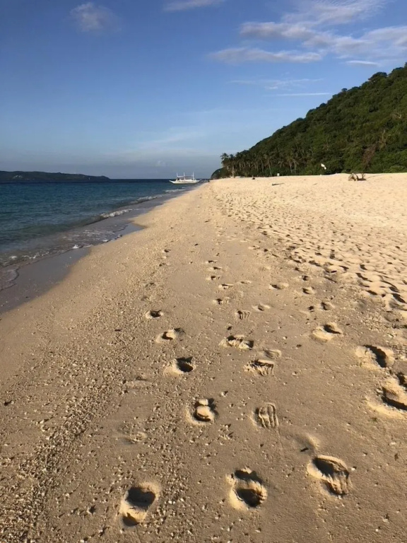 Beach & Waterfront
