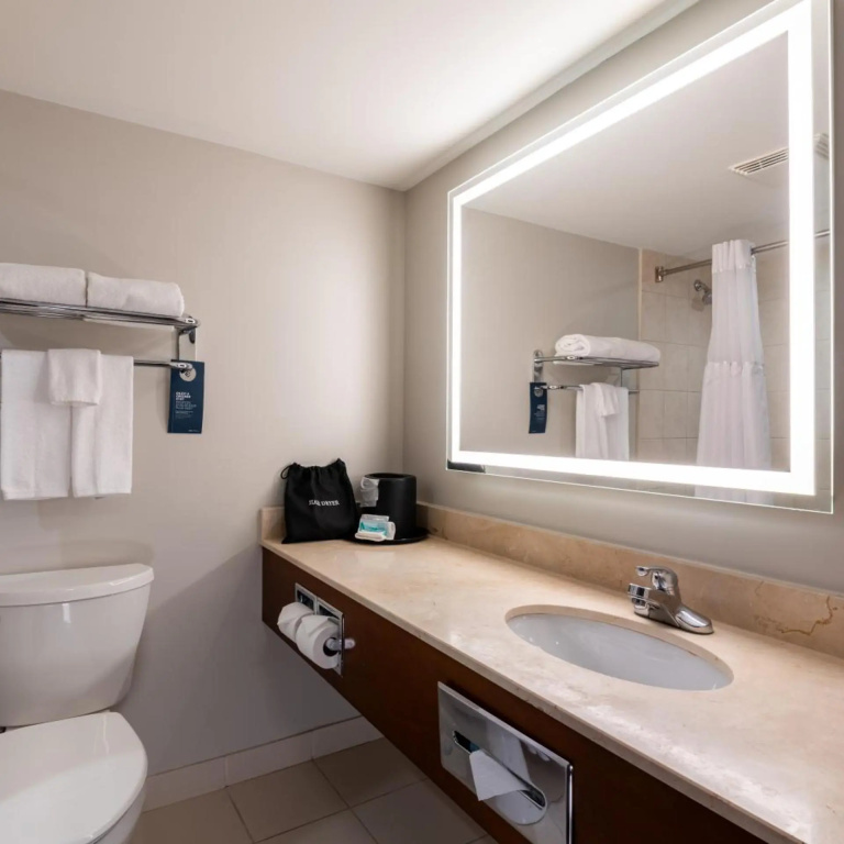 Holiday Inn Hotel & Suites London by IHG - Général