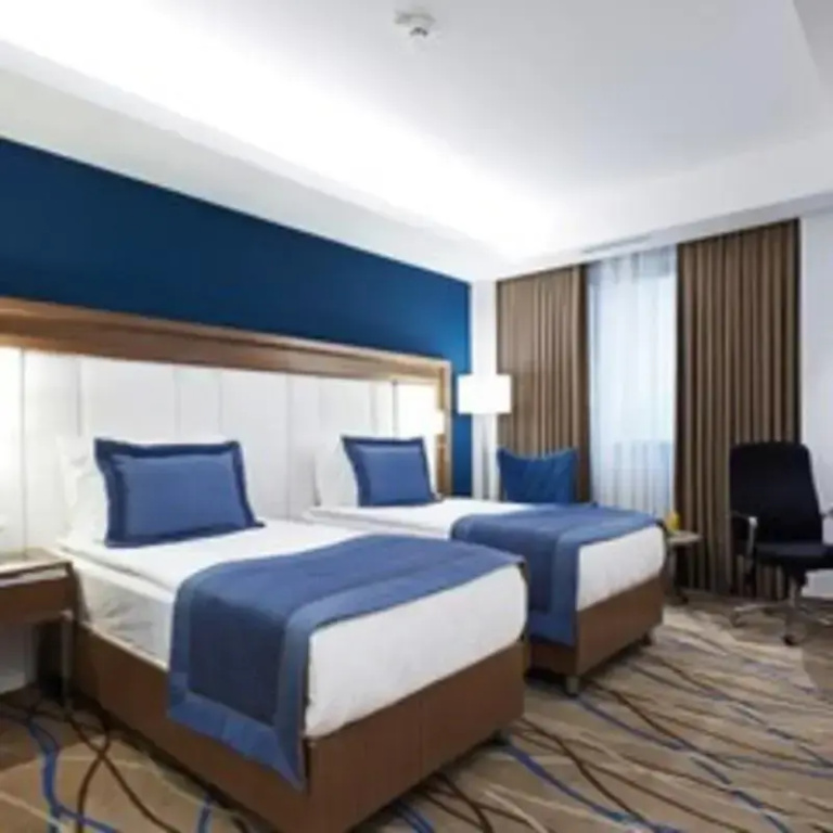 Standard Double room (twin beds)
