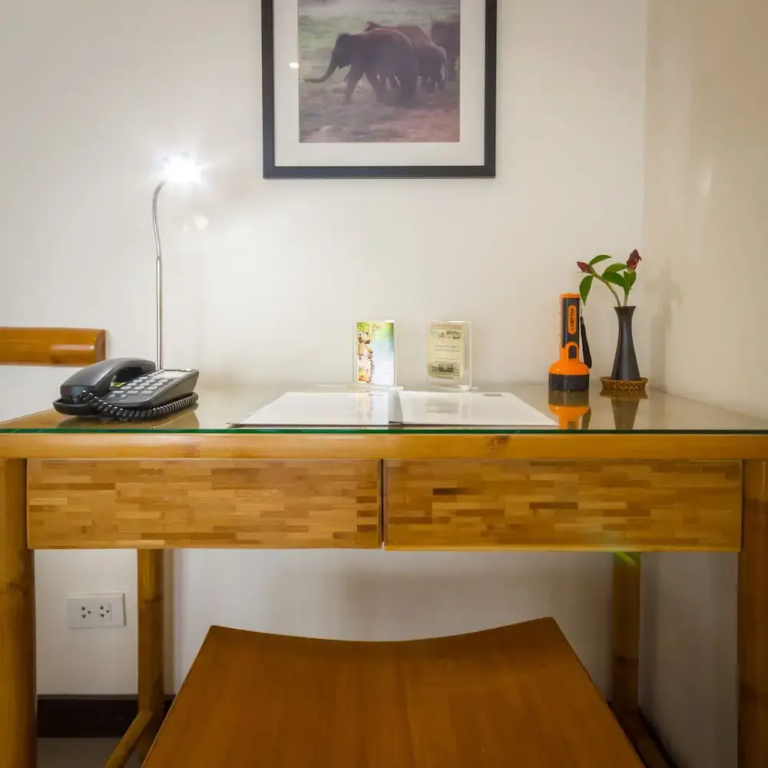 Standard Double room with river view (full double bed)