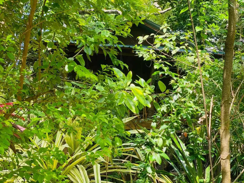 girilena resort