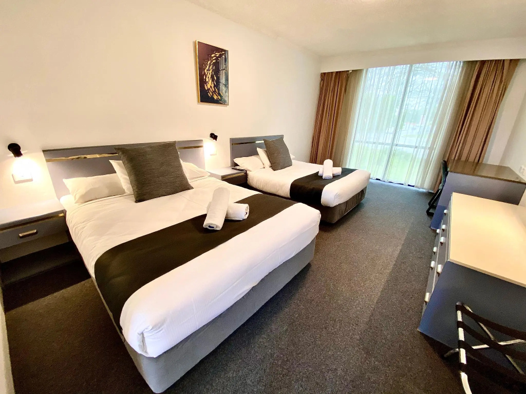 Deluxe Double room (twin beds)