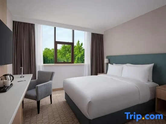 Двухместный номер с видом на город (двуспальная кровать) в DoubleTree by Hilton Shymkent