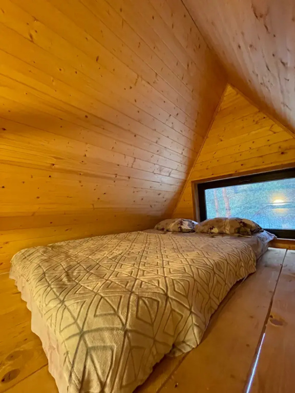 Избушка в лесу - фото 3