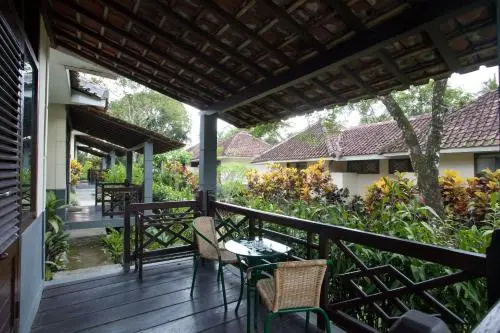 Balcony & Terrace