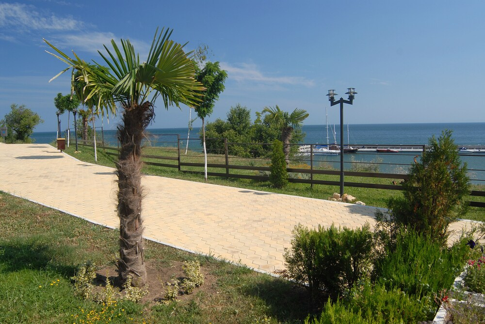 Beach & Waterfront
