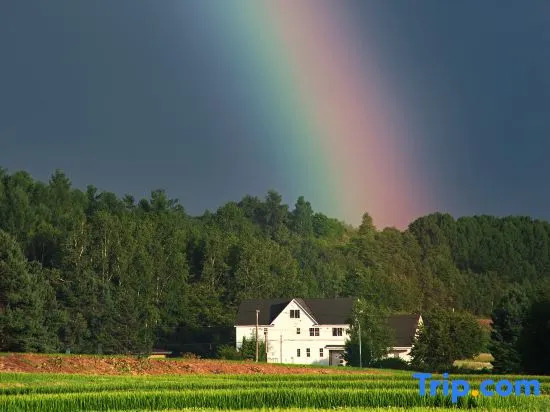 Guest House Itoh — фото 3