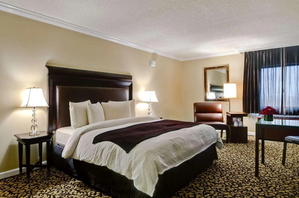 Bella Vista Hotel & Suites - Chambres
