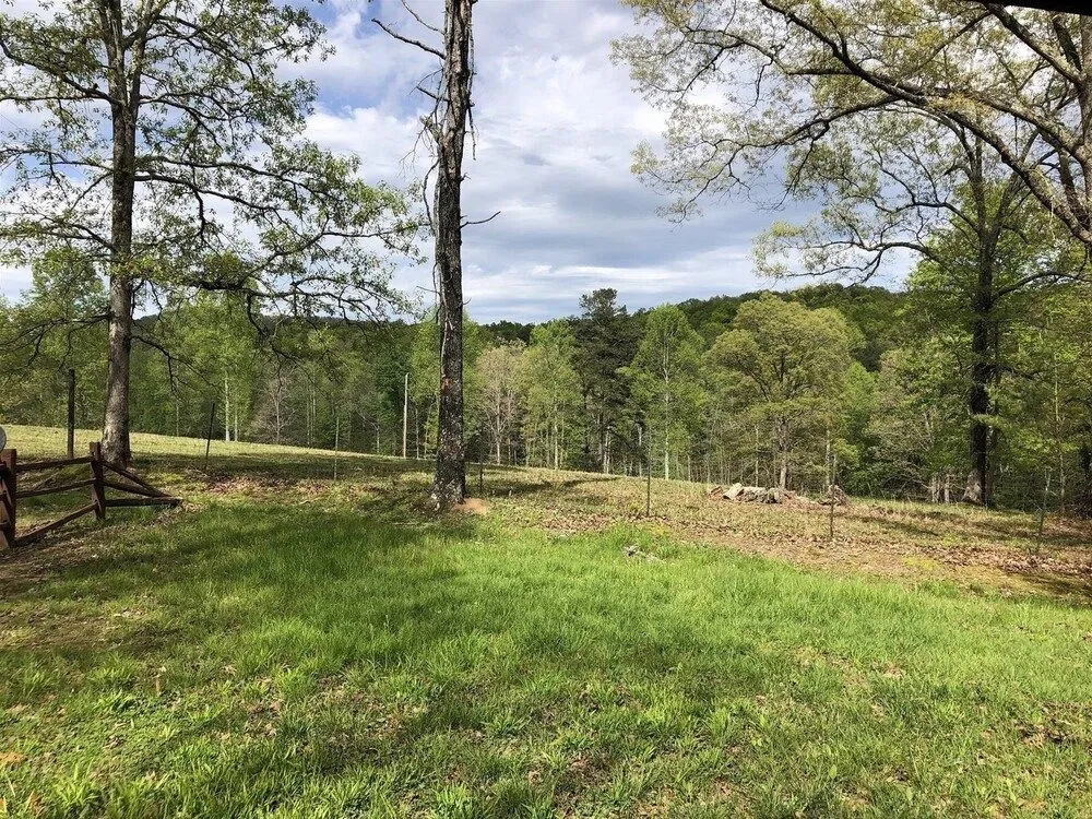 Knotty Pony Cabin- Blue Ridge