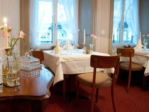 Hotel Krone by bsmart - Général