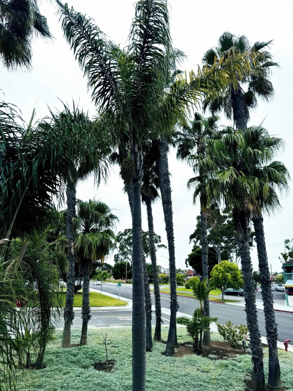 Hotel photo 48