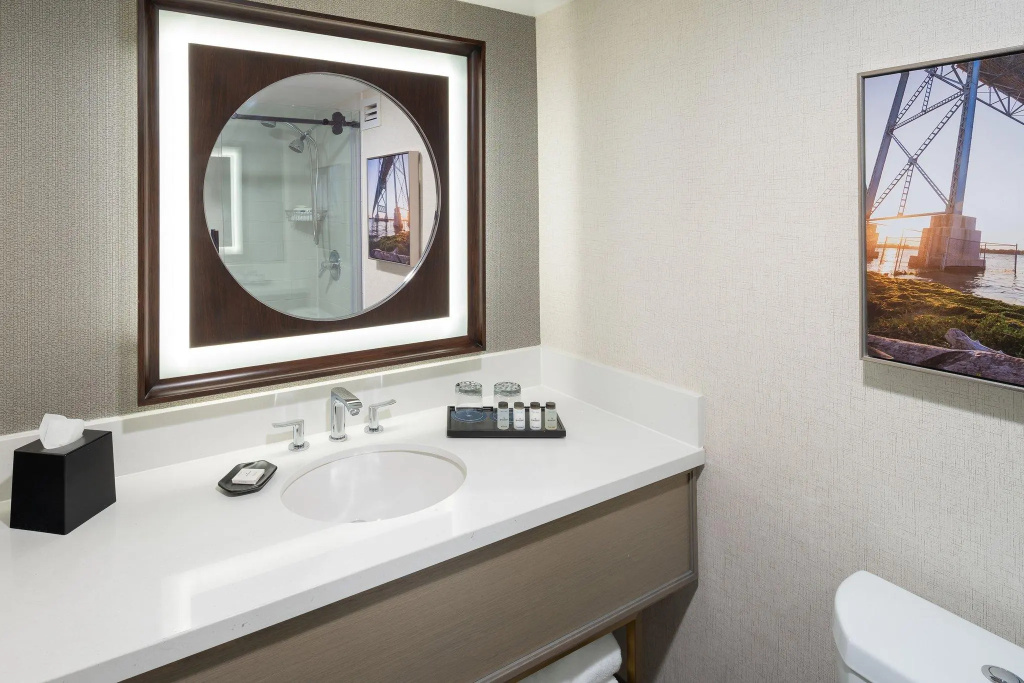 Sheraton Detroit Novi Hotel - Chambres