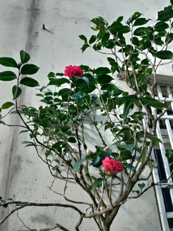 Hotel photo 42