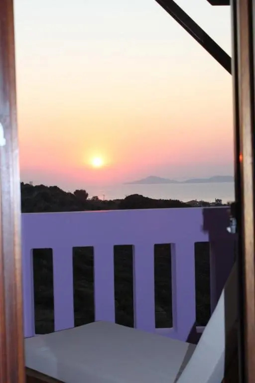 Balcony & Terrace
