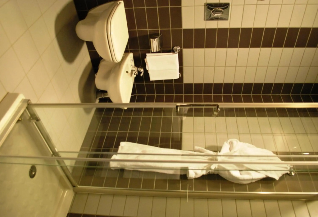 Idea Hotel Plus Savona - Général