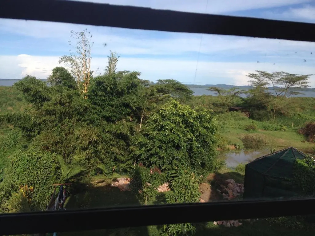 Yellow Haven Lodge - Chambres