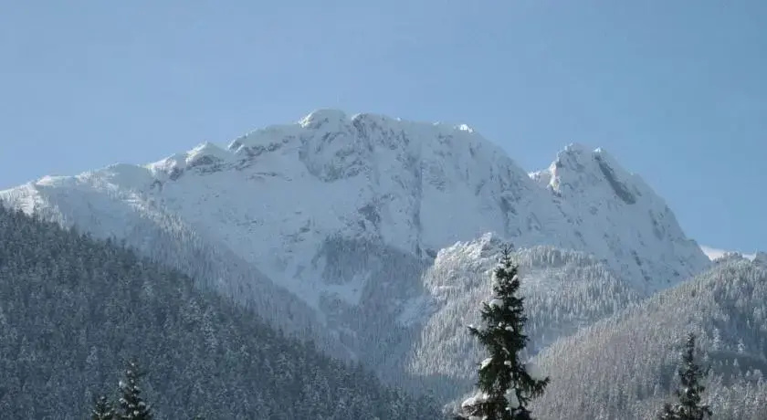 Apartments Zakopane Center