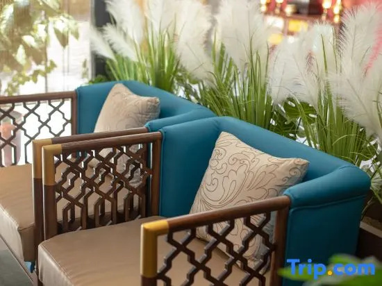 Balcony & Terrace