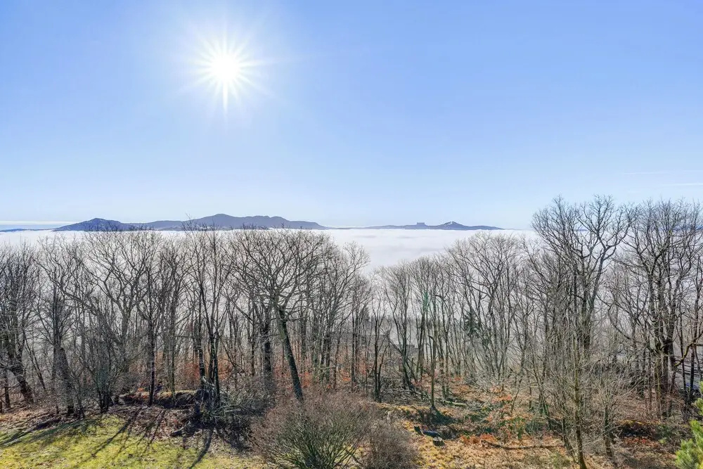 2 Mi to Beech Mtn: Fully Remodeled Condo w/ Patio!