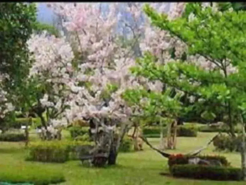 Muang Pai Resort