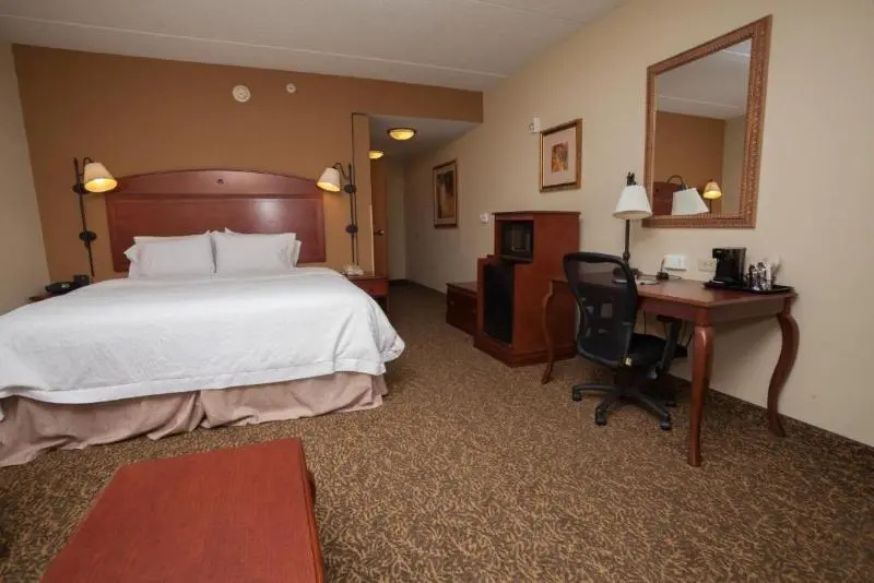 Standard Suite