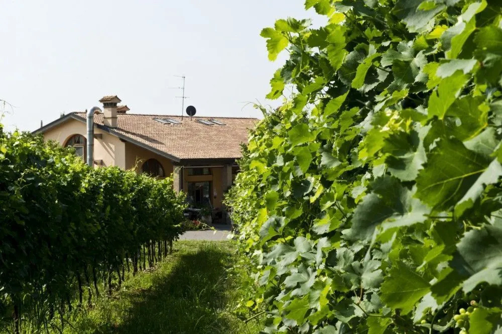 Casa Pierina Agriturismo - Général