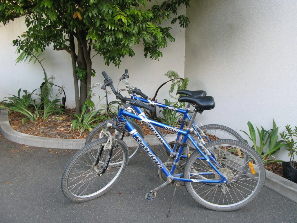 Image 17