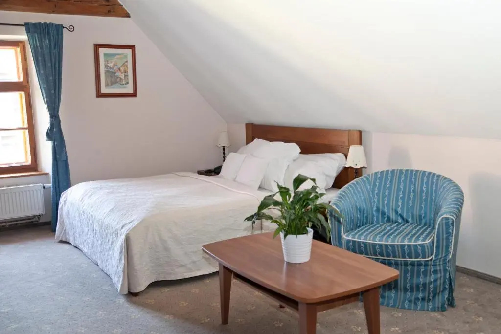 Hotel U Zlateho lva - Chambres