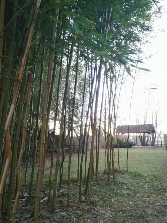 4 Barat Apartman - фото 9