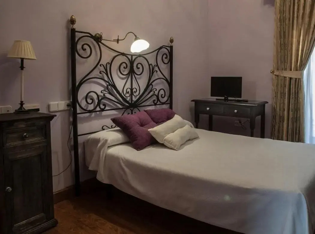 Hotel Alvar Fañez - Général