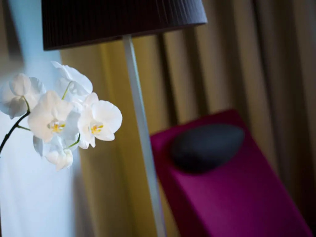 Der Birkenhof - Spa & Genuss Resort - Chambres