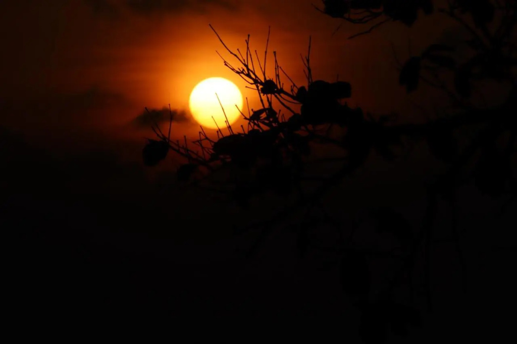 Purnima Resort Neil Island