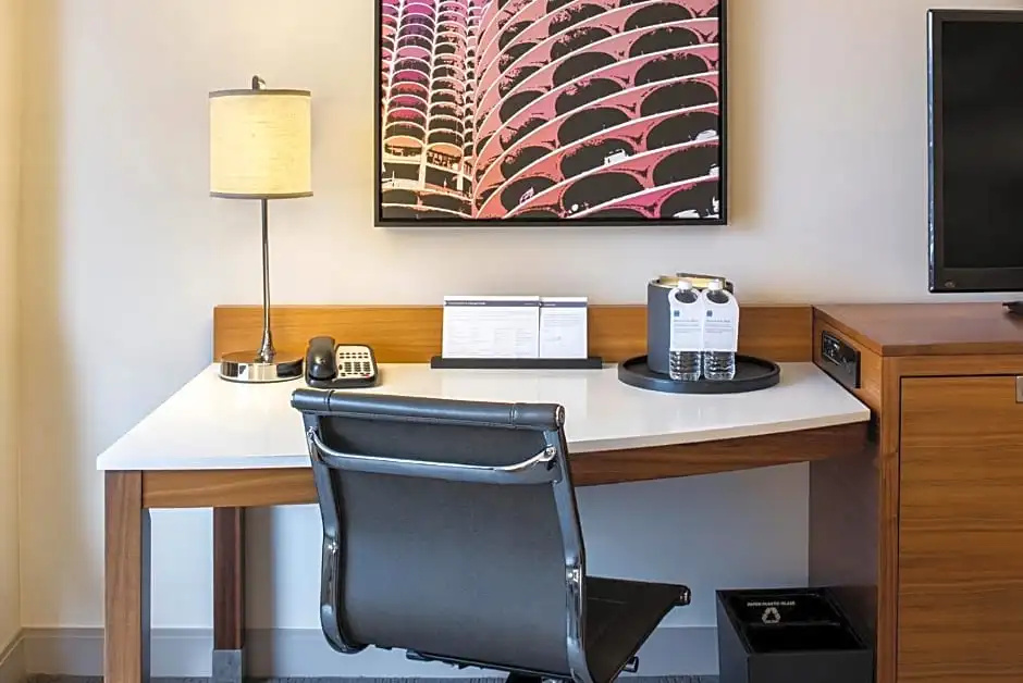 Hyatt Regency McCormick Place Chicago - Chambres