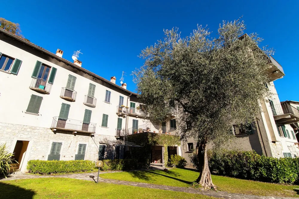 Olea