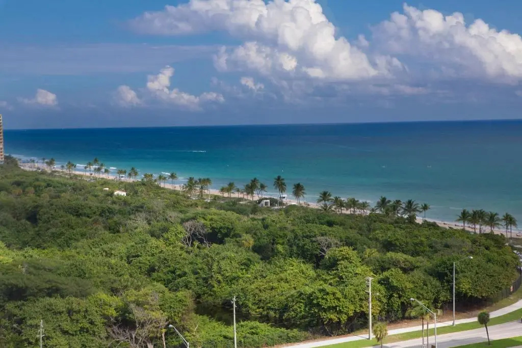 Beach & Waterfront