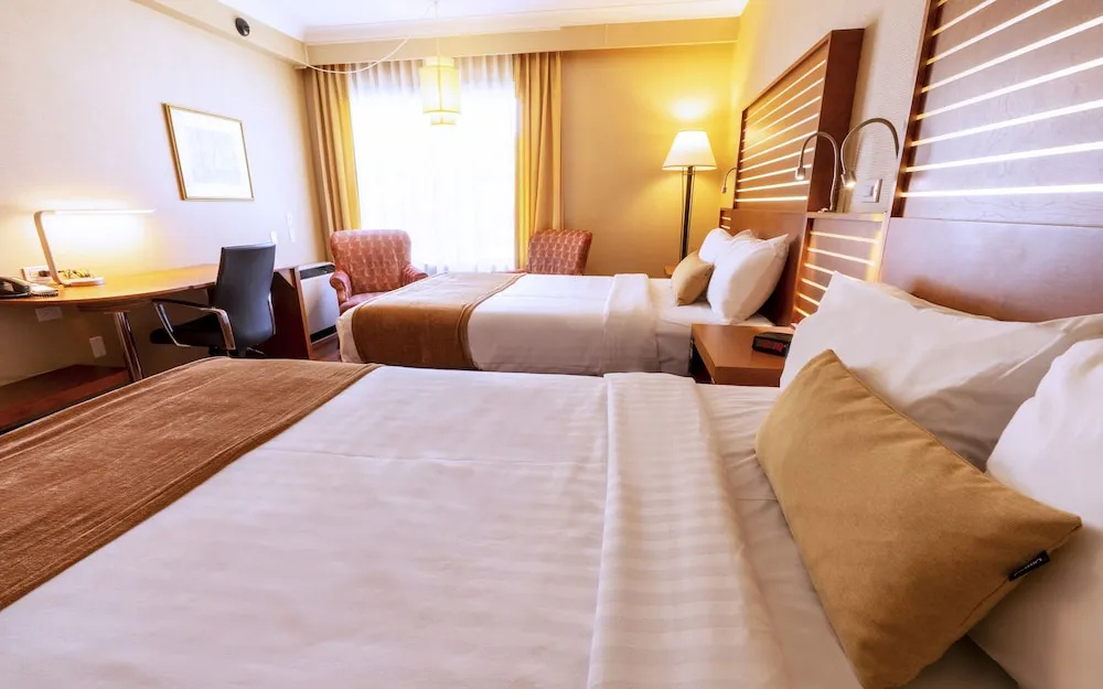 Hotel photo 50