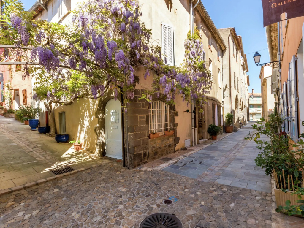 Magnificent Villa With Private Pool Near Port Grimaud and Saint Tropez